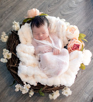 View More: http://snapshotsphotographynj.pass.us/zoe-murrow-newborn